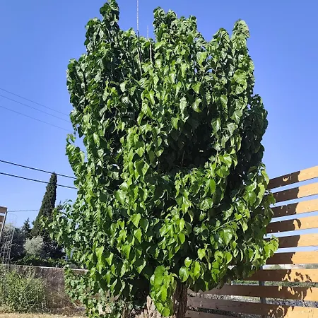 Πανσιόν Garden N4